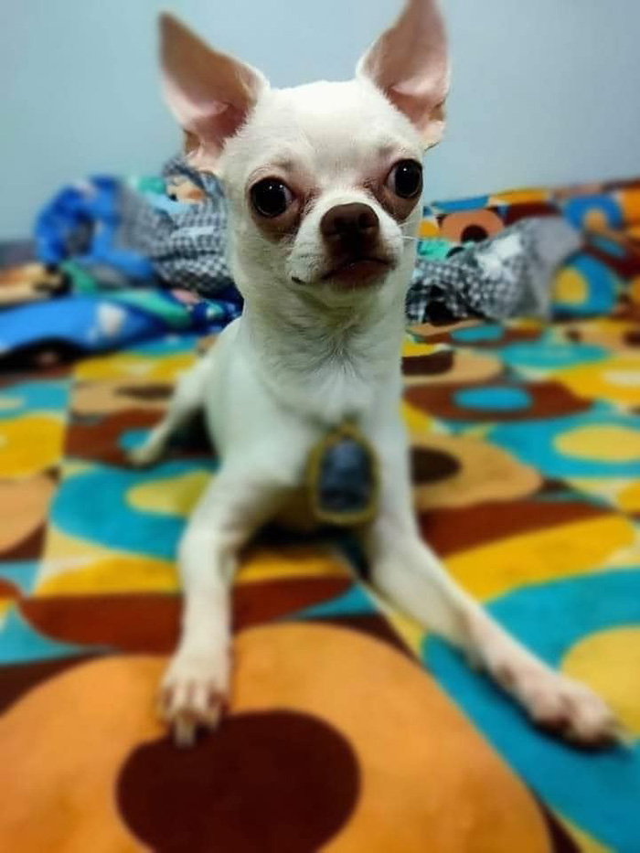 ดราม่าวงการพระ