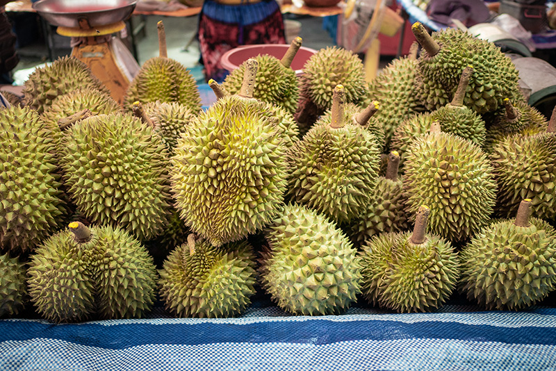 ทุเรียนเวียดนาม