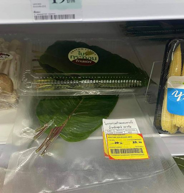 ใบกระท่อม