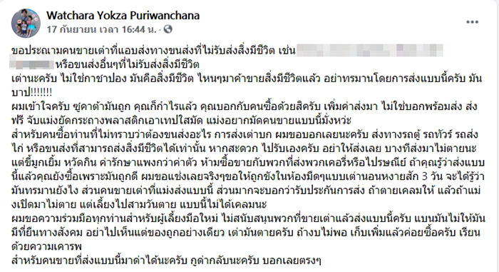 เต่าพันเทปใส