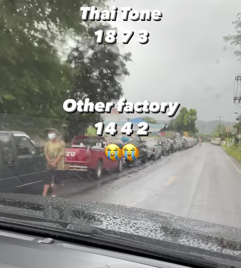 ชาวสวนสุดช้ำราคาลำไย