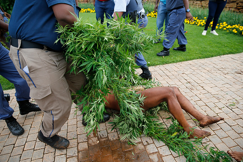 กษัตริย์กอยซาน โดนตำรวจจับ