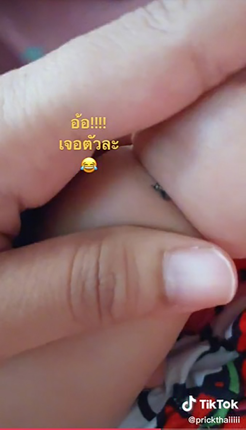 คุณแม่ถึงกับเหวอ ได้ยินเสียงยุงบินทั้งคืนแต่หาไม่เจอ