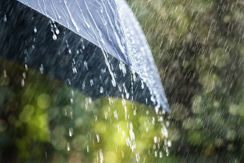 ฝนตกหนัก
