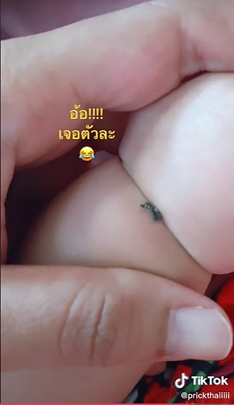 คุณแม่ถึงกับเหวอ ได้ยินเสียงยุงบินทั้งคืนแต่หาไม่เจอ