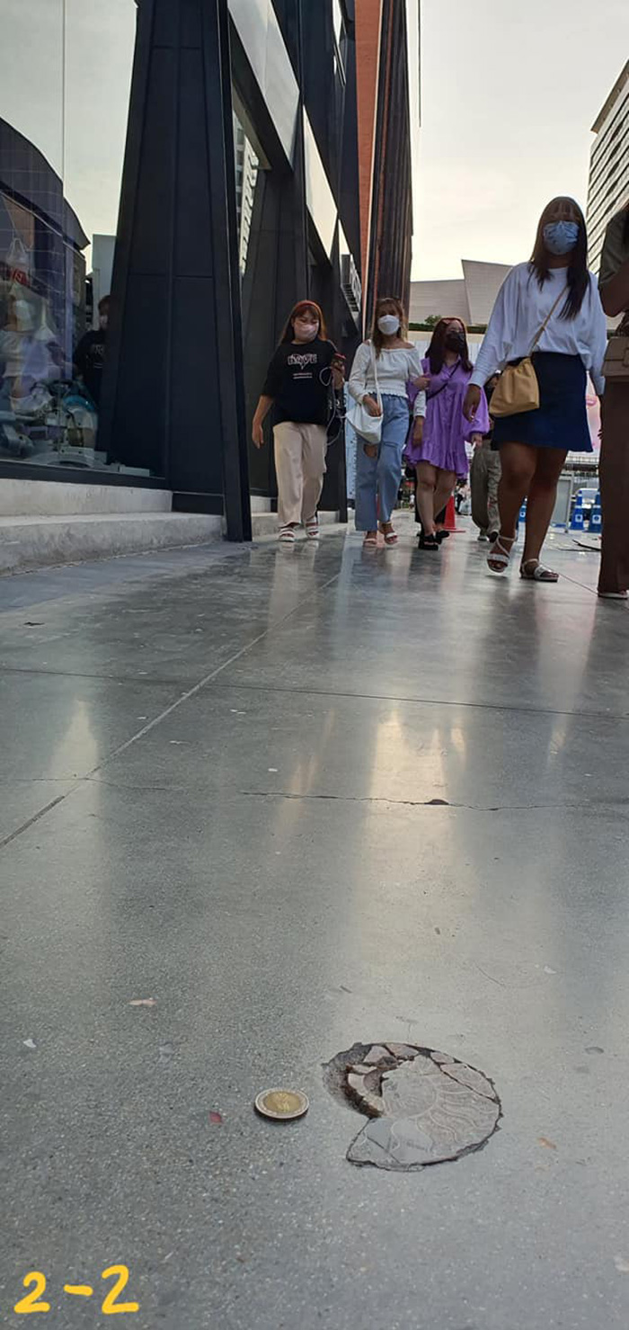 ไวรัลสาวเจอฟอสซิลหอย กลางสยาม