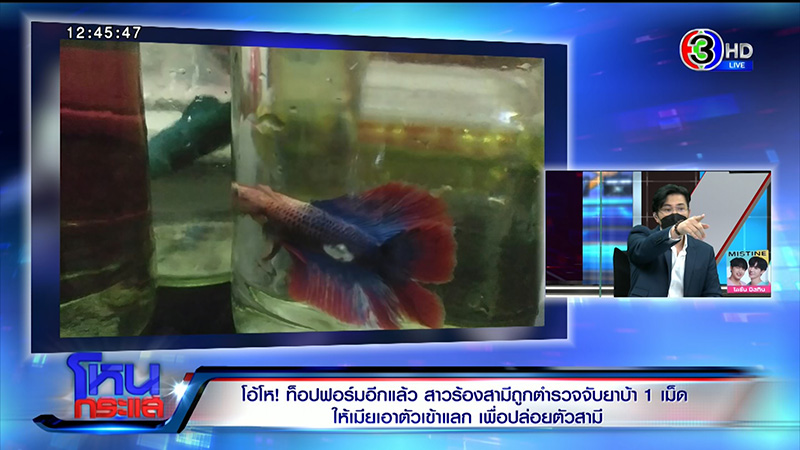 สาวผวา ผัวโดนยัดยา 1 เม็ด ตร. ให้เอาตัวเข้าแลก