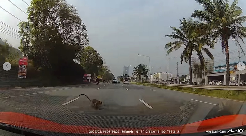 ยูทูบเบอร์ดัง ใจสลาย ผมได้ทำสิ่งที่เลวร้ายลงไป