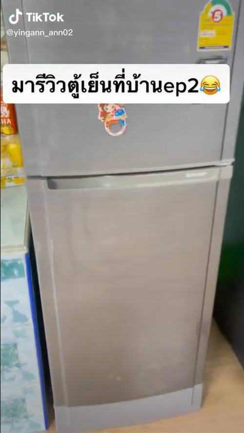 ตู้เย็นในฝันของคนรักทุเรียน แบบปัง