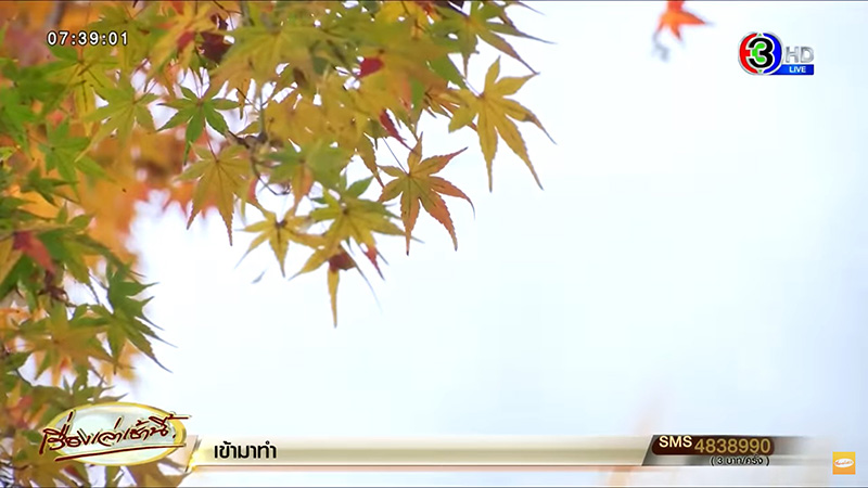 คนญี่ปุ่นอยากมาไทย แต่มาไม่ได้ ททท. แสดงความกังวล 