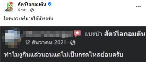 คอมเมนต์