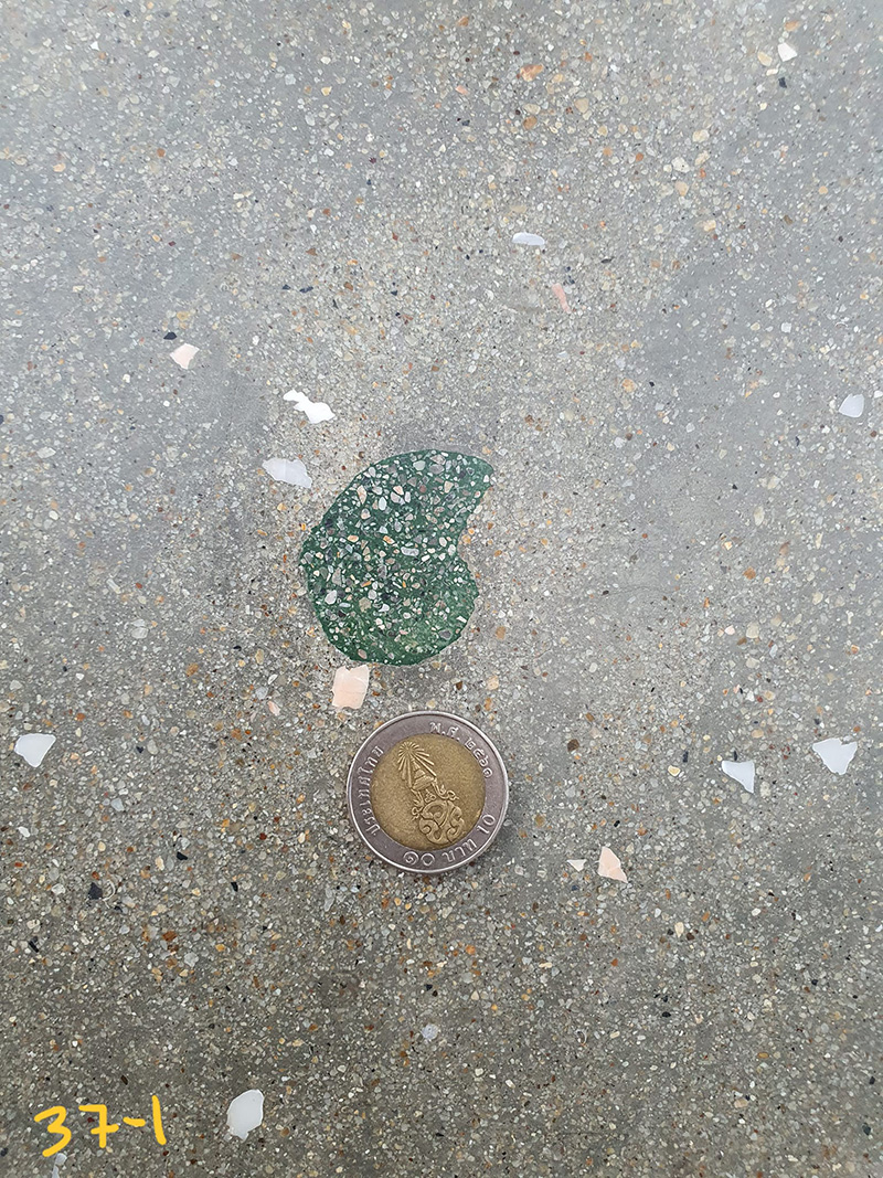 ไวรัลสาวเจอฟอสซิลหอย กลางสยาม