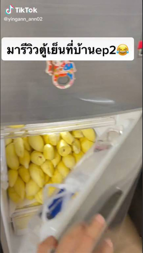ตู้เย็นในฝันของคนรักทุเรียน แบบปัง
