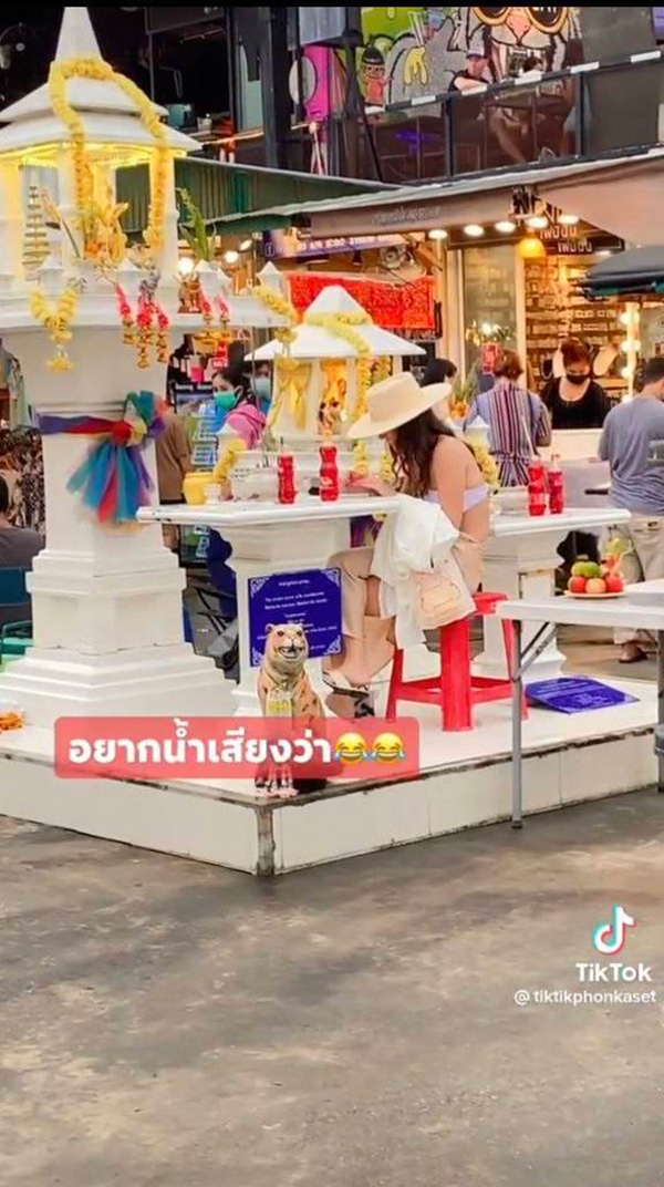 ฝรั่งสาวหิ้วเก้าอี้ขึ้นมานั่งชิล