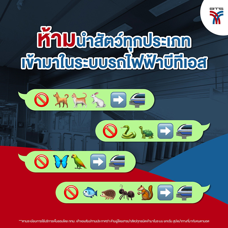 คอมเมนต์