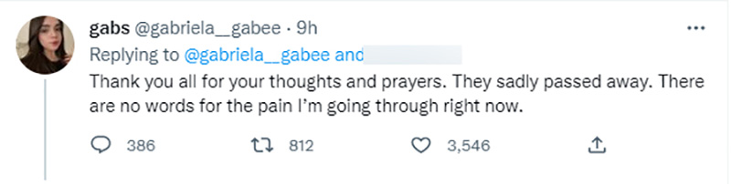 สาวใจสลาย แฟนหายไปที่อิแทวอน