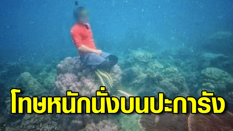 แจ้งจับ นทท. แชะรูปนั่งชิลบนปะการัง