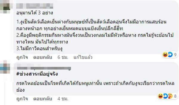 คอมเมนต์