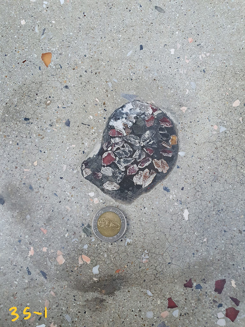 ไวรัลสาวเจอฟอสซิลหอย กลางสยาม