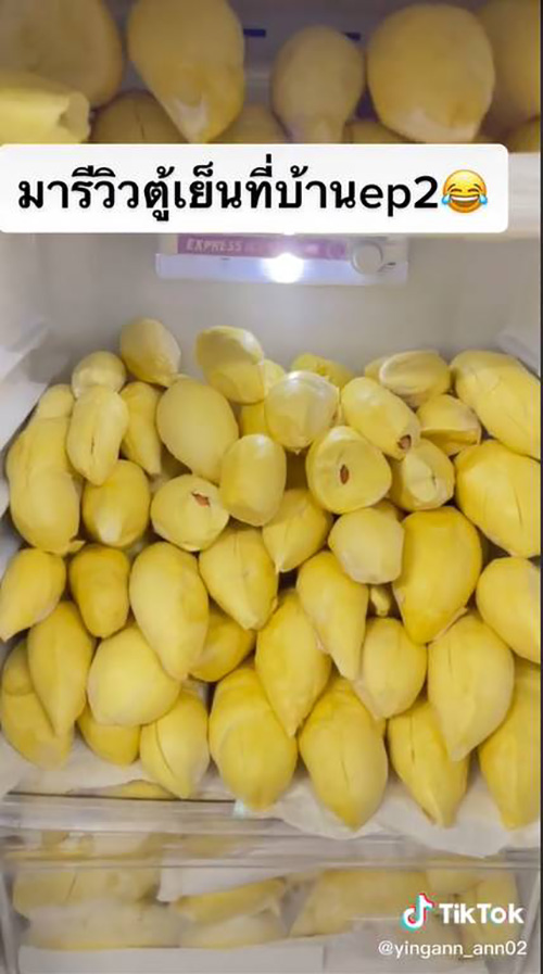 ตู้เย็นในฝันของคนรักทุเรียน แบบปัง