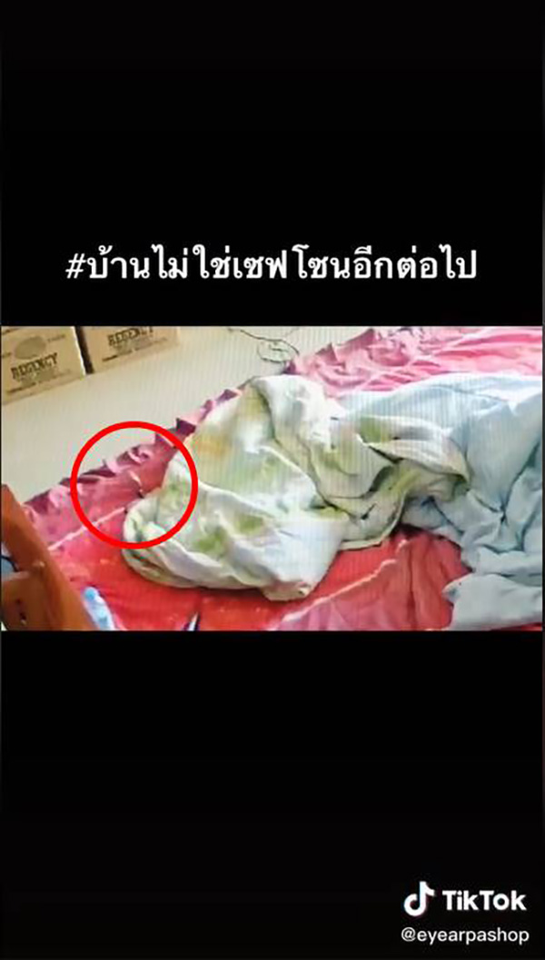 สาวกรี๊ดลั่น เปิดผ้าห่มเจอลูกงูเห่า