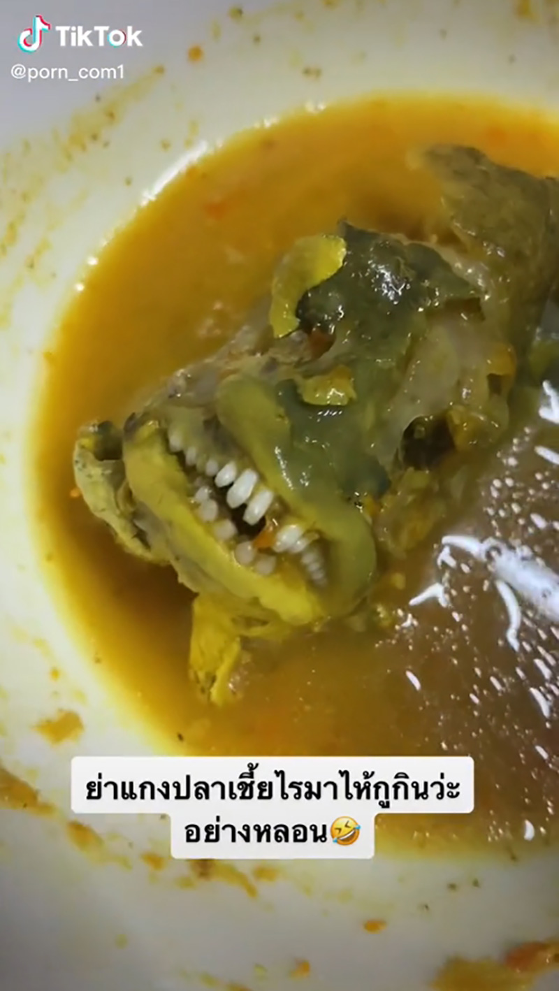 ไวรัลหลอน 2 ล้านวิว หนุ่มอวดแกงไตปลาฝีมือย่า 