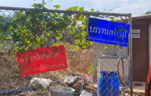 ฟาร์มเลี้ยงหมู