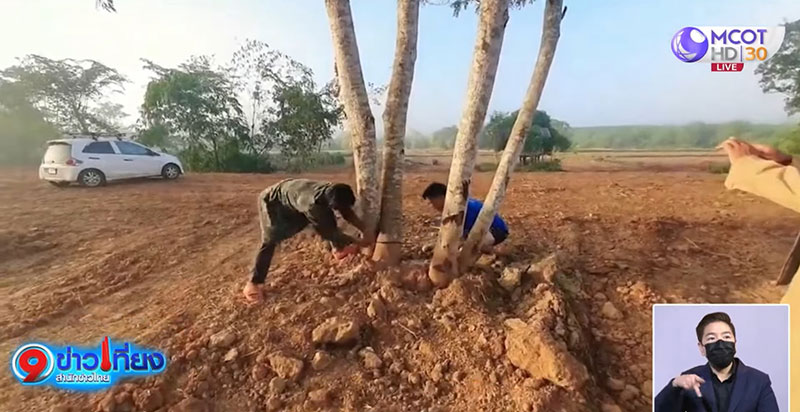 ศาลสั่งจำคุก ลุงพล 2 ปี 3 เดือน