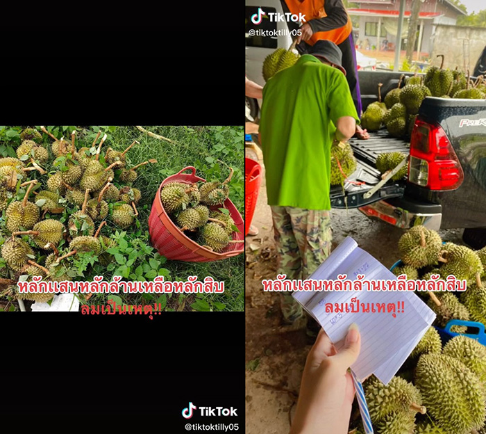 ทุเรียน 5 บาท 