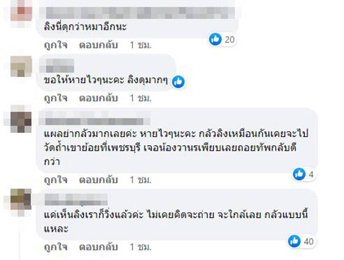 คอมเมนต์