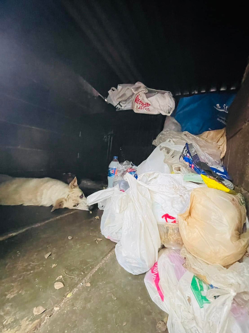 เปิดชีวิตตาเฝ้าศพภรรยา 21 ปี เรียนจบเภสัช