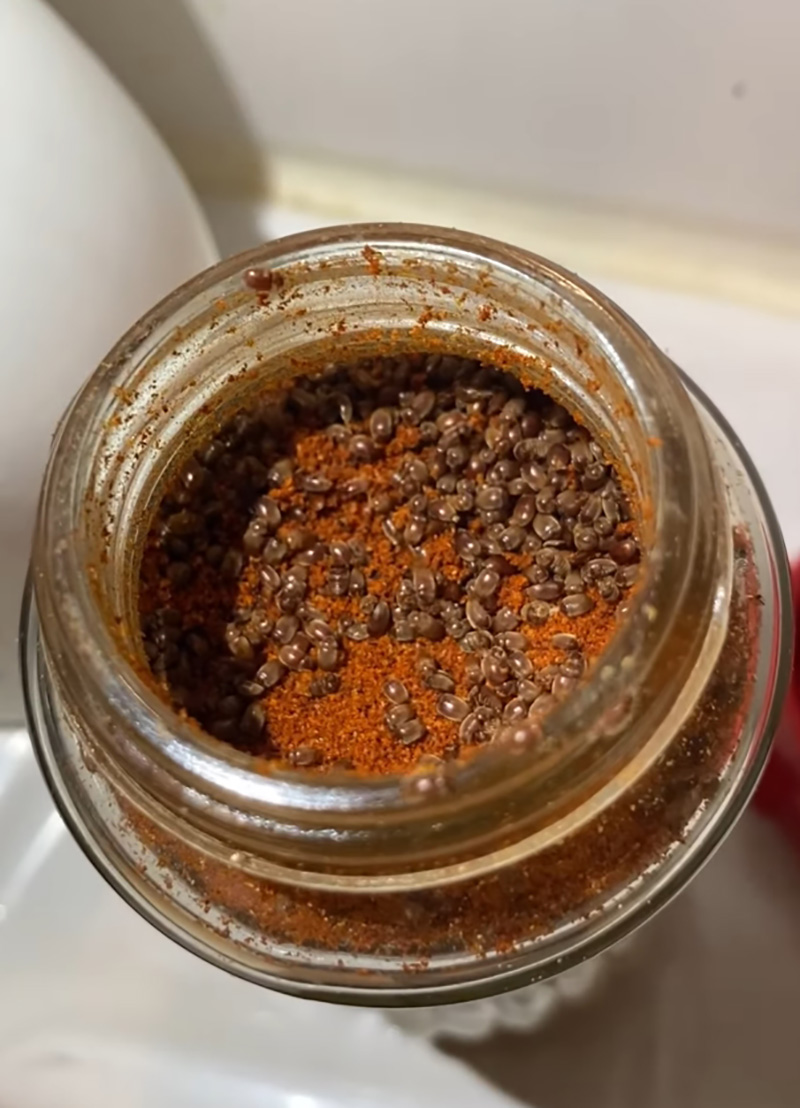 เปิดขวดพริกปาปริก้า เจอตัวอะไรไม่รู้ไต่ยั้วเยี้ย