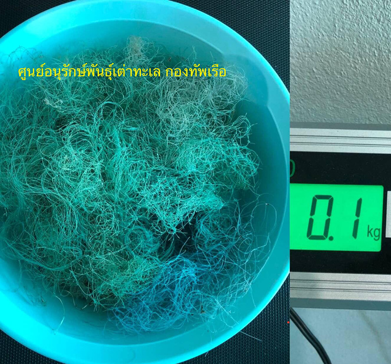 เต่าตนุ อายุ 20 ปี เกยตื้นตาย อึ้ง