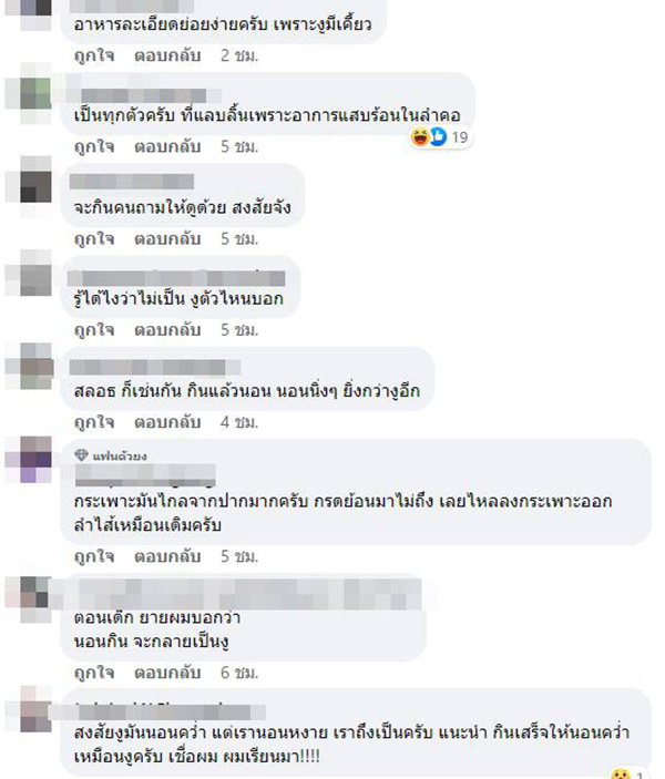 คอมเมนต์