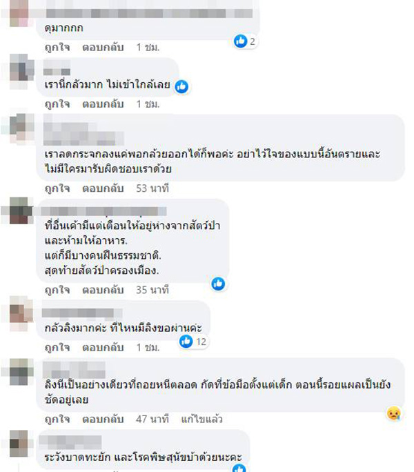 คอมเมนต์