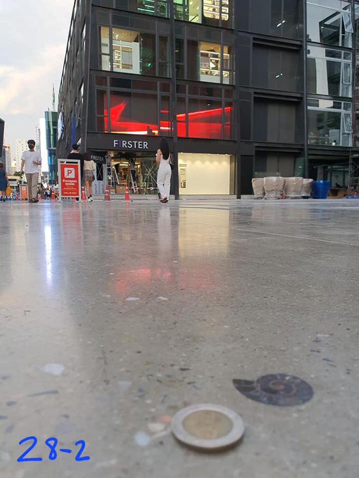 ไวรัลสาวเจอฟอสซิลหอย กลางสยาม