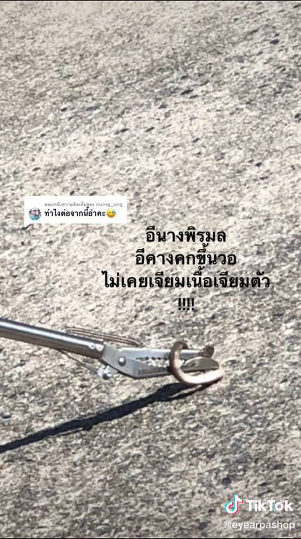 สาวกรี๊ดลั่น เปิดผ้าห่มเจอลูกงูเห่า