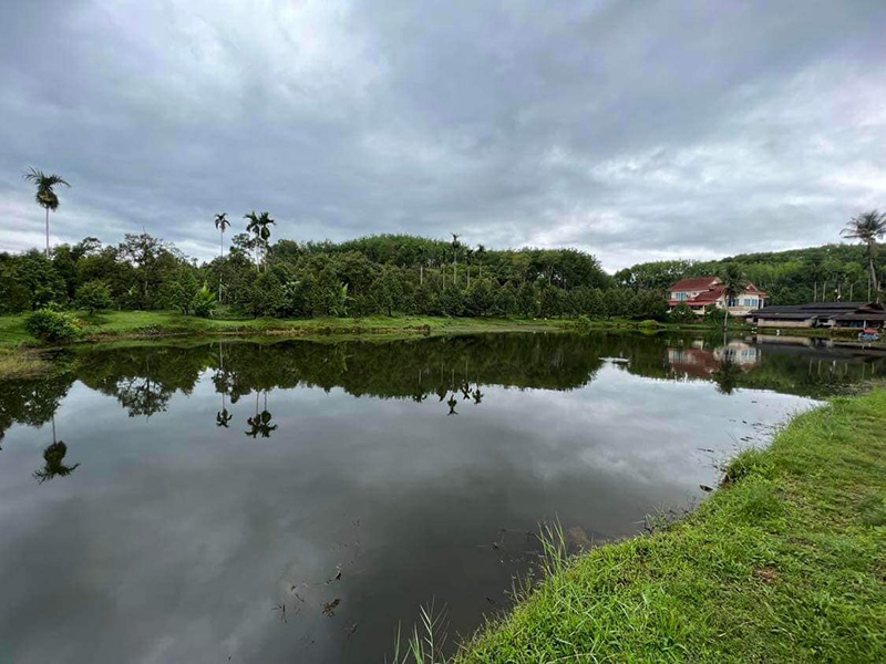 ประกาศขายบ้านชวนอึ้ง บ้านหลังโต พร้อมสวนทุเรียน 