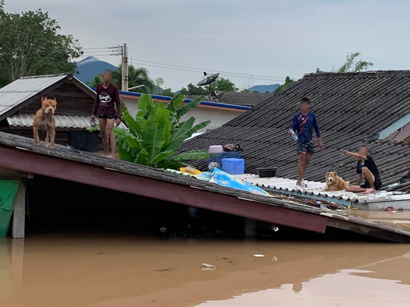 ระยองน้ำท่วม