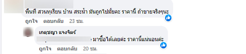 ประกาศขายบ้านชวนอึ้ง บ้านหลังโต พร้อมสวนทุเรียน 