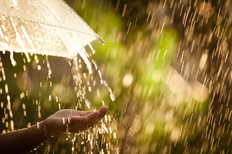 พยากรณ์อากาศ สัปดาห์นี้ มีฝนมาอีก 