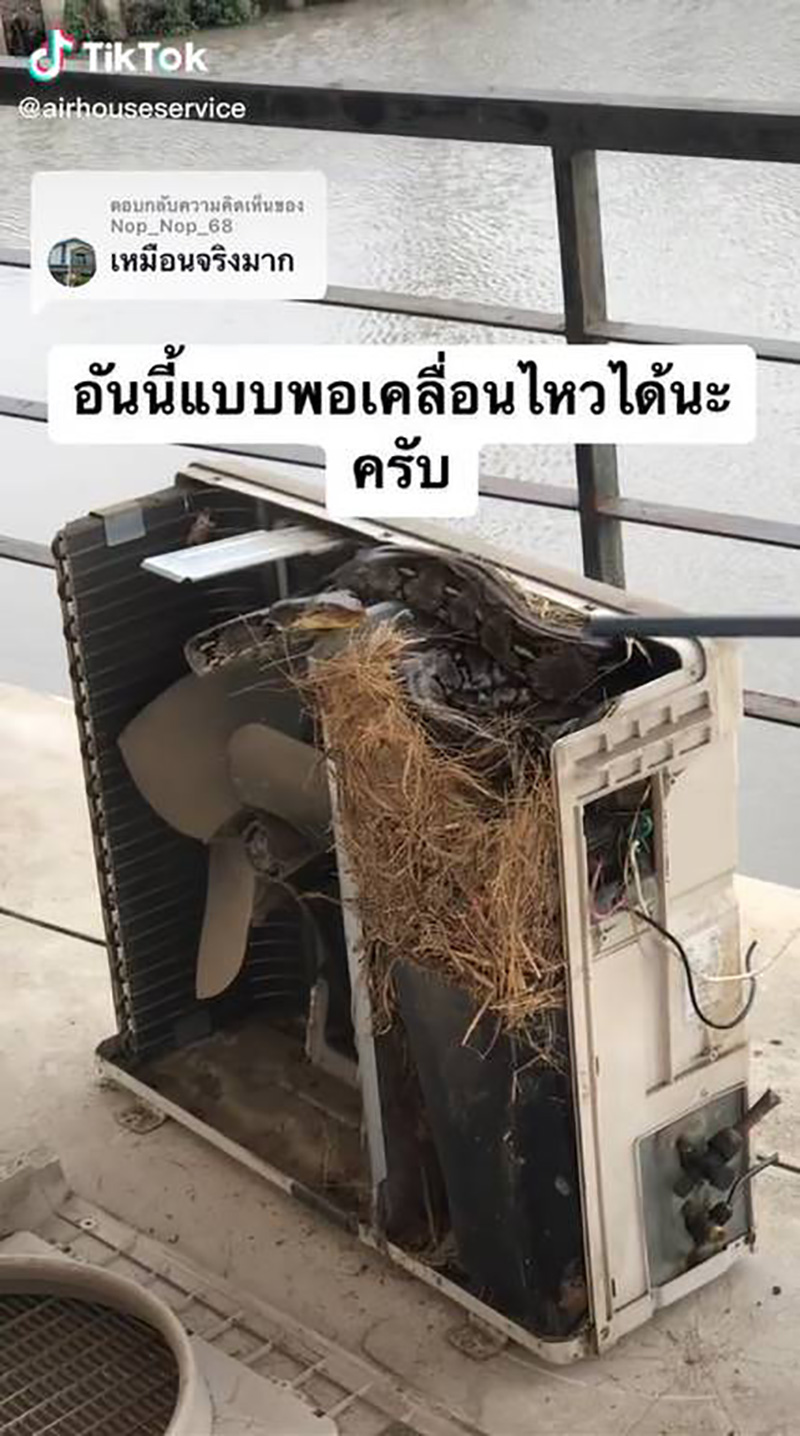 ล้วงคอมแอร์เจออะไรนิ่ม ๆ แงะออกมาแทบช็อก 