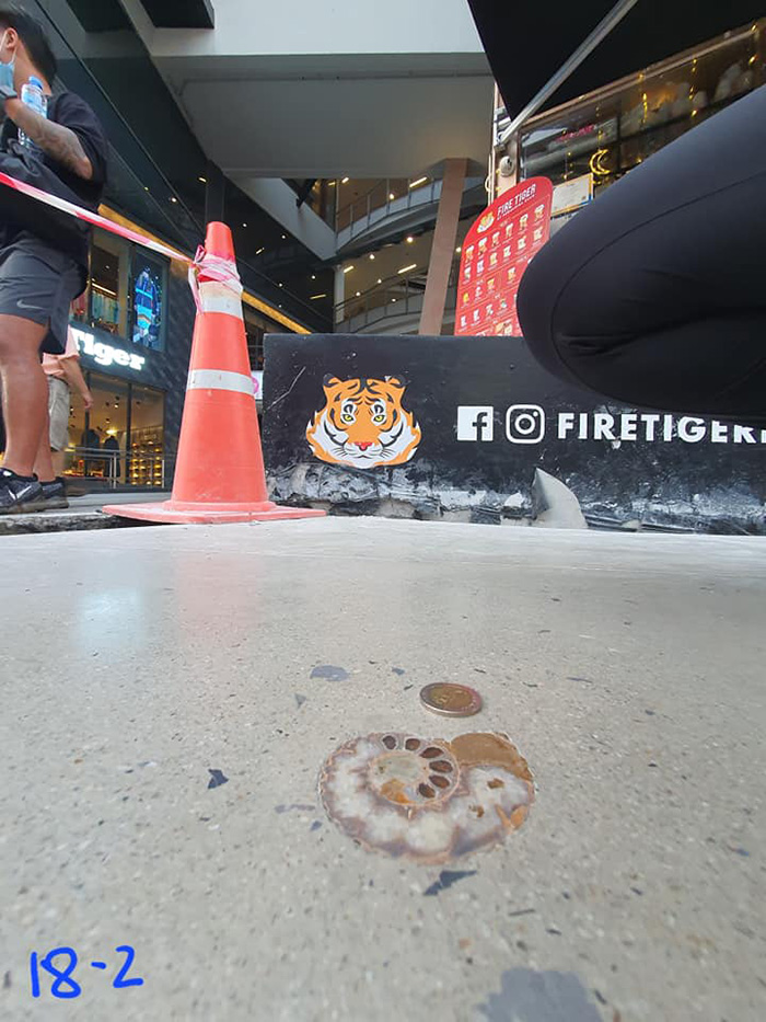 ไวรัลสาวเจอฟอสซิลหอย กลางสยาม