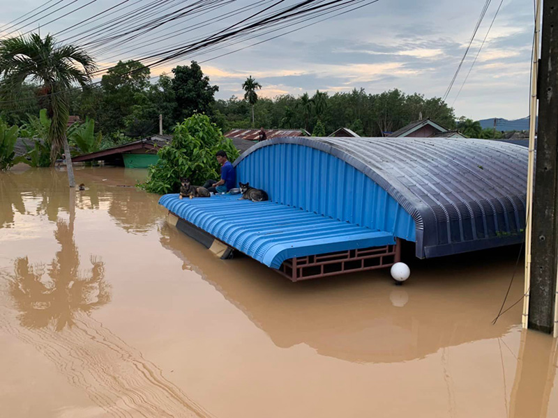 ระยองน้ำท่วม