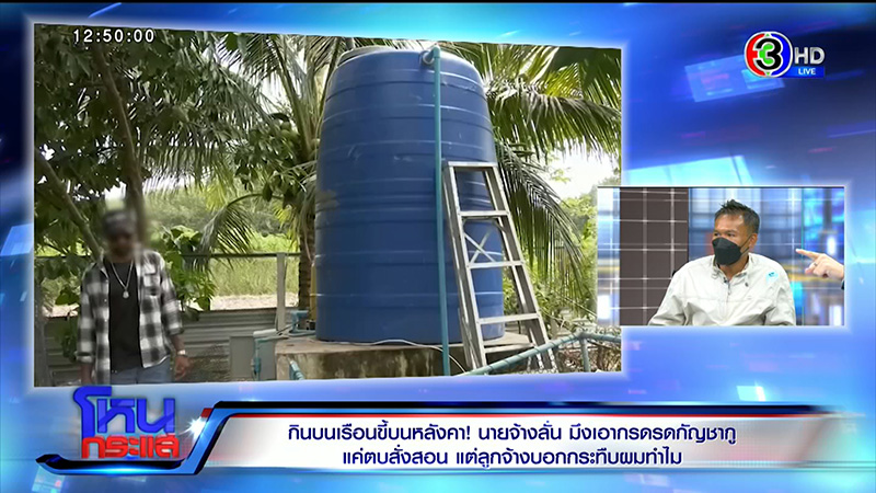 เจ้าของไร่กัญชา จับลูกจ้างเฆี่ยน 