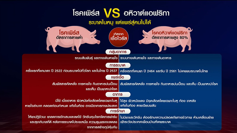 หมู