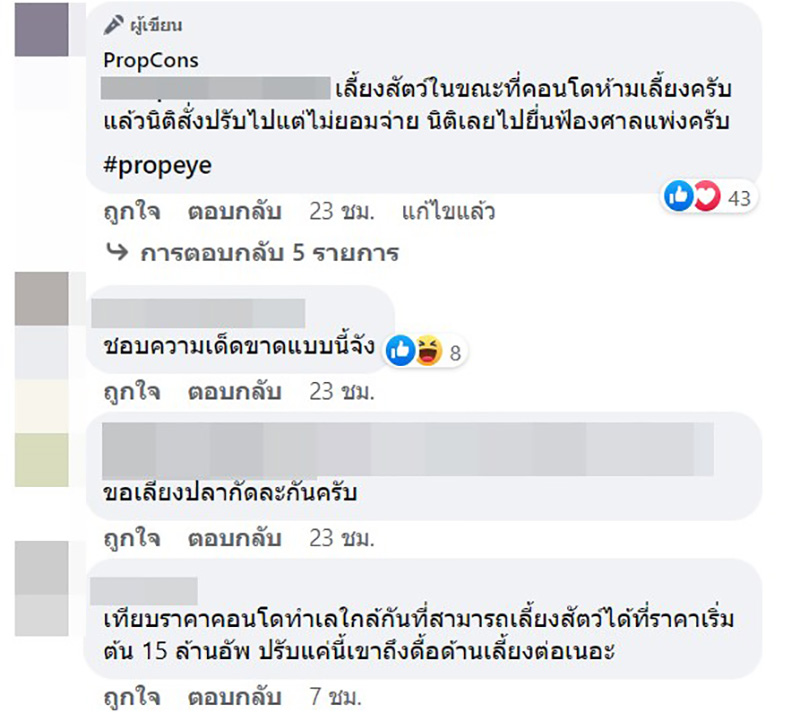 คอมเมนต์