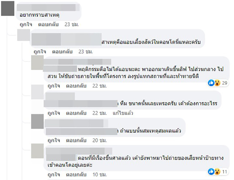 คอมเมนต์