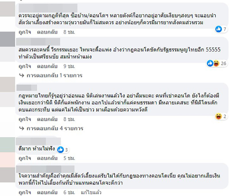 คอมเมนต์