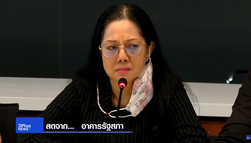 สรุปแถลงคดีแตงโม 